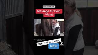 Die perfekte Massage  massieren lernen mit meinem online Training [upl. by Alleroif]