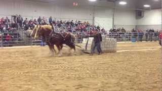 Orangeville Horses Pull 18000 lbs 2013 [upl. by Aicargatla]