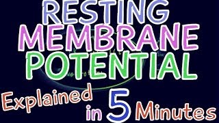 Resting Membrane Potential explained in 5 minutes Electrolyte levels K Na Cl [upl. by Ahsataj]