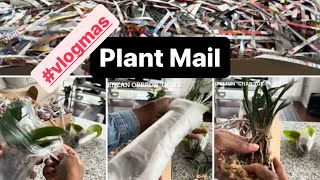 Plant Mail vlogmas2023 [upl. by Sidalg]