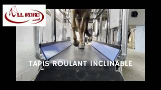 tapis de marche pour chevaux tapis entrainement cheval marcheur pour chevaux bien être animal equiph [upl. by Teiv]