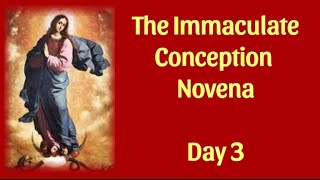 Immaculate Conception  Day 3 [upl. by Ahsieit]