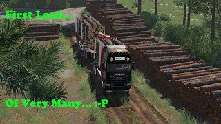 FS19  Forestry On Holmåkra  First Load  Timelapse  S02 EP22 [upl. by Nerret]