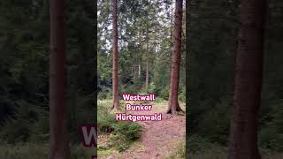 Westwall Bunker Hürtgenwald adventure adventure wald weswall [upl. by Aidua]