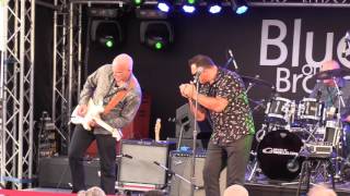 THE FLAMING MUDCATS  BROADBEACH BLUES FEST 18052017 [upl. by Acinet]