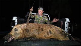 The BIGGEST Wild Boar Ive ever SEEN Whole Slow Roasted Wild Pig [upl. by Yvonne]