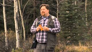 How to properly use bear spray [upl. by Merlina]