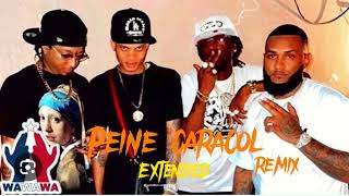 PEINE CARACOL  RochyRD x Blue Money Djjota19 Intro Extended 115 Bpm [upl. by Leiria]