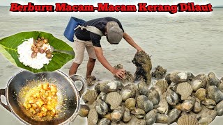 Mencari Kerang Dilaut‼️Dapat Kerang Bulu Kerang Kipas dan Siput Laut  MASAK DIPANTAI [upl. by Glory]