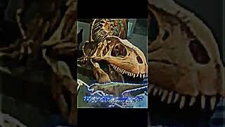 Trex Victoria vs Tyrannotitan holotype edit 2023 2024 shorts trex dinosaur battles battle [upl. by Gemma]