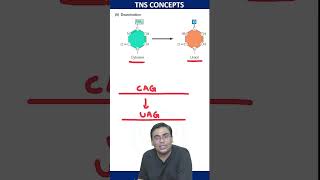 Deamination Of Cytosine  molecularbiology csirnet lifescience [upl. by Reo664]