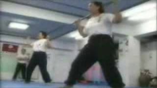 Hakka Wanderer Fistwmv [upl. by Joseito958]