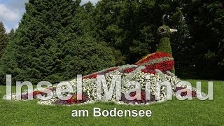 Bodensee die Insel Mainau ein Rundgang über die Insel mit einzigartiger großartigen Blumenbracht [upl. by Ahsienar]