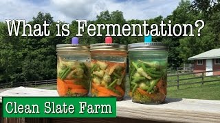 What is fermentation What is pickling Are they the same [upl. by Gneh]