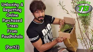 Unboxing amp Repotting online purchased trees from Paudhshalacom  Part 2 [upl. by Nohsyar]