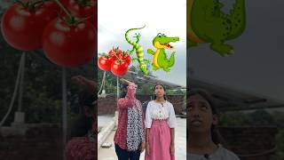 Viral Tomato Chutney 🤤😋shorts ytshortsvideo youtubeshorts [upl. by Abbate]