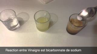 Reaction Entre Bicarbonate De Sodium Est VinaigreAcide Et Citron [upl. by Airtemed]