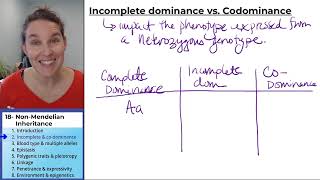 NonMendelian Inheritance 2 Incomplete and Codominance [upl. by Notgnirra236]