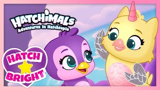 Hatchimals Hatch Bright Episodes 11 to 16  Adventures in Hatchtopia Compilation  Cartoon for Kids [upl. by Agnot167]