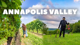 Annapolis Valley Exploring  Nova Scotia  Travel Guide [upl. by Wilhelm]