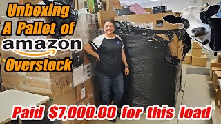 Unboxing A Pallet of Amazon Overstock that we paid Thousands of dollars for and we found cows [upl. by Letsirc]