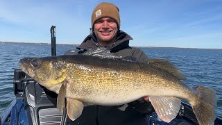 Sniping Giant Green Bay Walleyes With Livescope 30 incher and 60 Fish Day [upl. by Sarena]