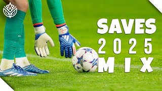 Best Football Saves 202425  Goalkeepers Mix episode  1 [upl. by Erfert]