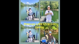 Summer Glide bait fishing on Watauga Lake [upl. by Ahsyle]