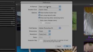 Setting Phase One Media Pro preferences  Media Pro Tutorial [upl. by Hulbard]