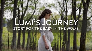 Lumis Journey  Story for Baby in The Womb [upl. by Ailliw121]