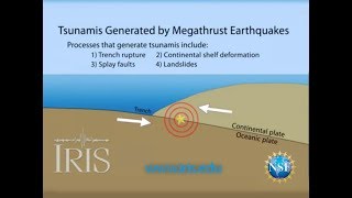 Tsunamis Generated by Megathrust Earthquakes [upl. by Adnuahsar]