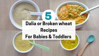 5 Broken Wheat Recipes For Babies and Toddlers  Dalia Recipes For Babies  White Pot [upl. by Eilssel]