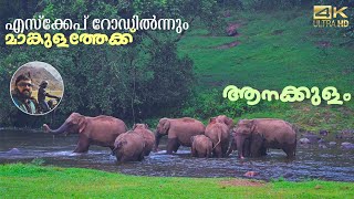 Munnar Escape road to Mankulam  Anakkulam  Ep 4 of Idukki hill stations [upl. by Selima]