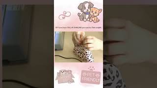 DIY COLLAR ISABELINO para nuestros fieles amigos de 4 patas diy tutorial cat sewing diycostura [upl. by Natsrik]