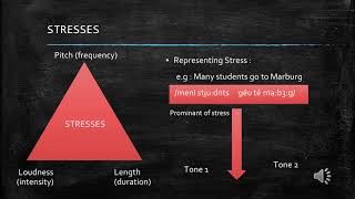 Prosodic and Suprasegmental Phonology [upl. by Nylekcaj]