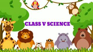 Oviparous animals and Viviparous animals Class 5 Science [upl. by Orgel301]