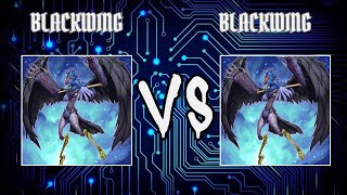 ATrueHeroBlackwing vs moscaBlackwing  Yugioh Edison Format  Dueling Book [upl. by Acimaj394]