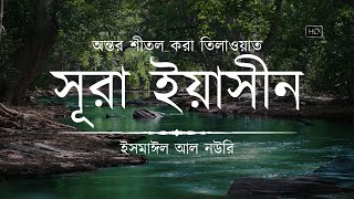 অন্তর শীতল করা সূরা ইয়াসিন এর তিলাওয়াত ┇ Surah Yasin Recited by Ismail An Nouri ┇ An Nafee [upl. by Auqinet]