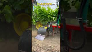 Clemens MULTIClean  Removing grapevine suckers  unwanted growth and shoots mechanically [upl. by Ecargyram]