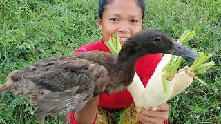 Cooking duck with daikon  eating delicious [upl. by Alenairam]