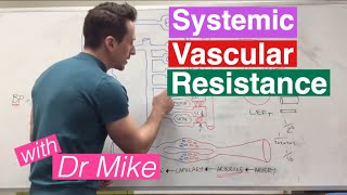 Systemic Vascular Resistance Total Peripheral Resistance  Cardiology [upl. by Oruasi]