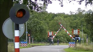 Spoorwegovergang Dalfsen  Dutch railroad crossing [upl. by Markson386]