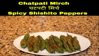 Chatpati Mirch चटपटी मिर्च Spicy Shishito Peppers [upl. by Krauss]