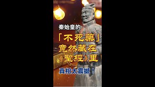 凡事謝恩  秦始皇的「不死藥」竟然藏在《聖經》里？真相太震撼！ 基督徒 基督徒信仰 十字架 神 敬拜詩歌 信仰 感謝主 人生感悟 人生 海外华人 启示录 家庭 人生 婚姻 [upl. by Adelaja]