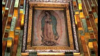 melodia manto virgen de guadalupe 10 horas [upl. by Herold]