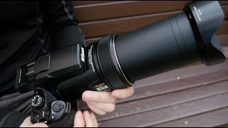 Nikon P1000  Review and Sample Zooooooooooooms [upl. by Onoitna]