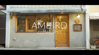 AMBIRD [upl. by Ntsud531]