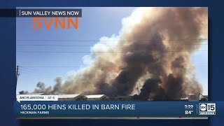 165000 laying hens die in massive fire at Hickmans Egg Farm in Tonopah [upl. by Acyssej]