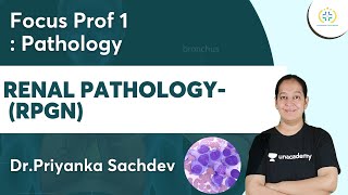 Renal Pathology RPGN  Focus Prof 1 Unacademy Future Doctors  DrPriyanka [upl. by Seidler]