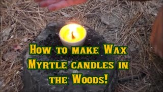 How to make Wax Myrtle Candles in the Woods [upl. by Nimajeb]